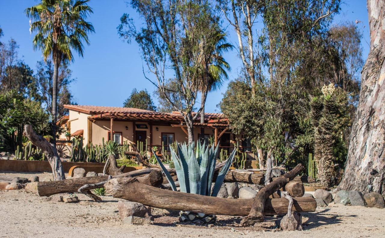 Santa Magdala Hotel Boutique Ensenada Exterior foto